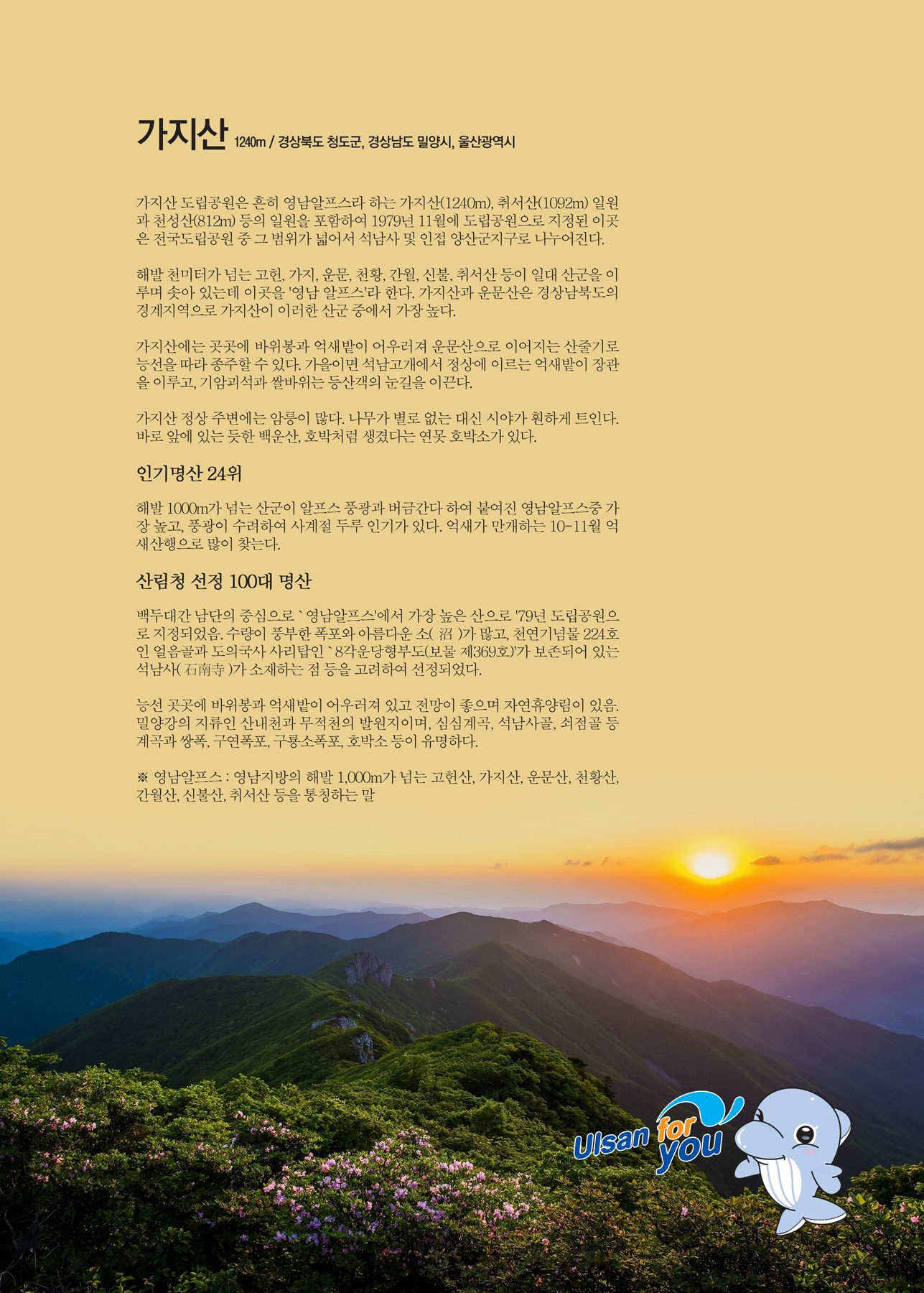 가지산(해발 1,240m) 울산광역시 울주군&경북 청도군&경남 밀양시